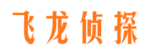 郊区侦探公司